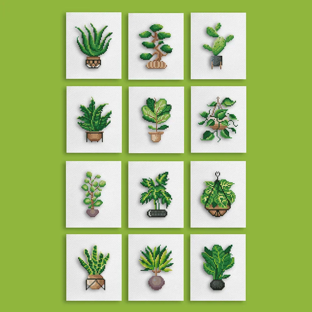 Houseplants 1.0