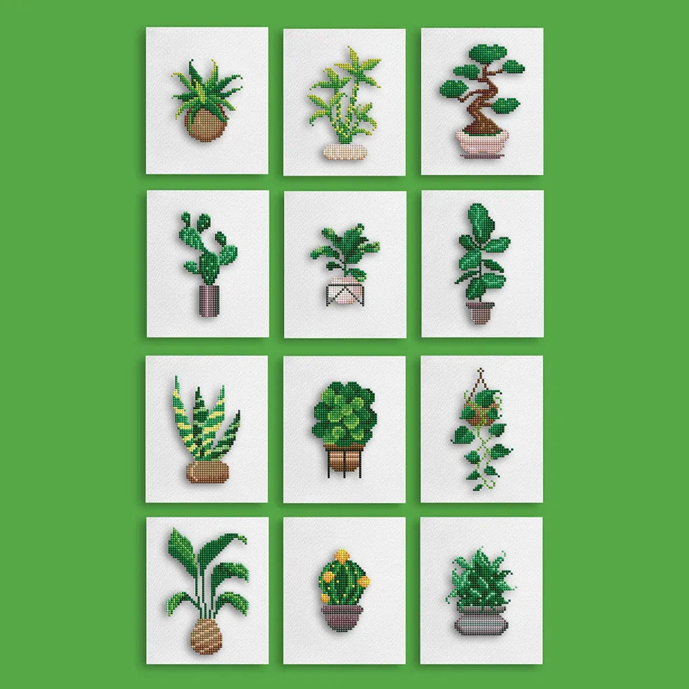 Houseplants 2.0
