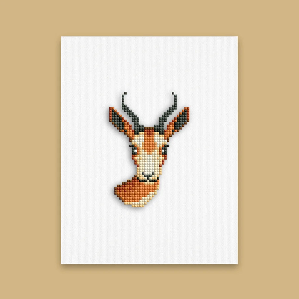 Safari