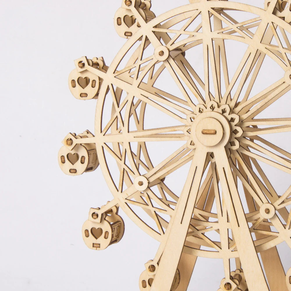 3D Reuzenrad puzzel-5