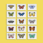 Vlinders