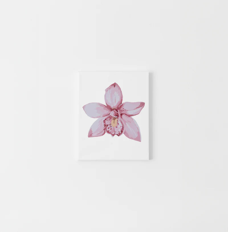orchidmini2_5418e40e-8097-482d-a560-45554f127c9a